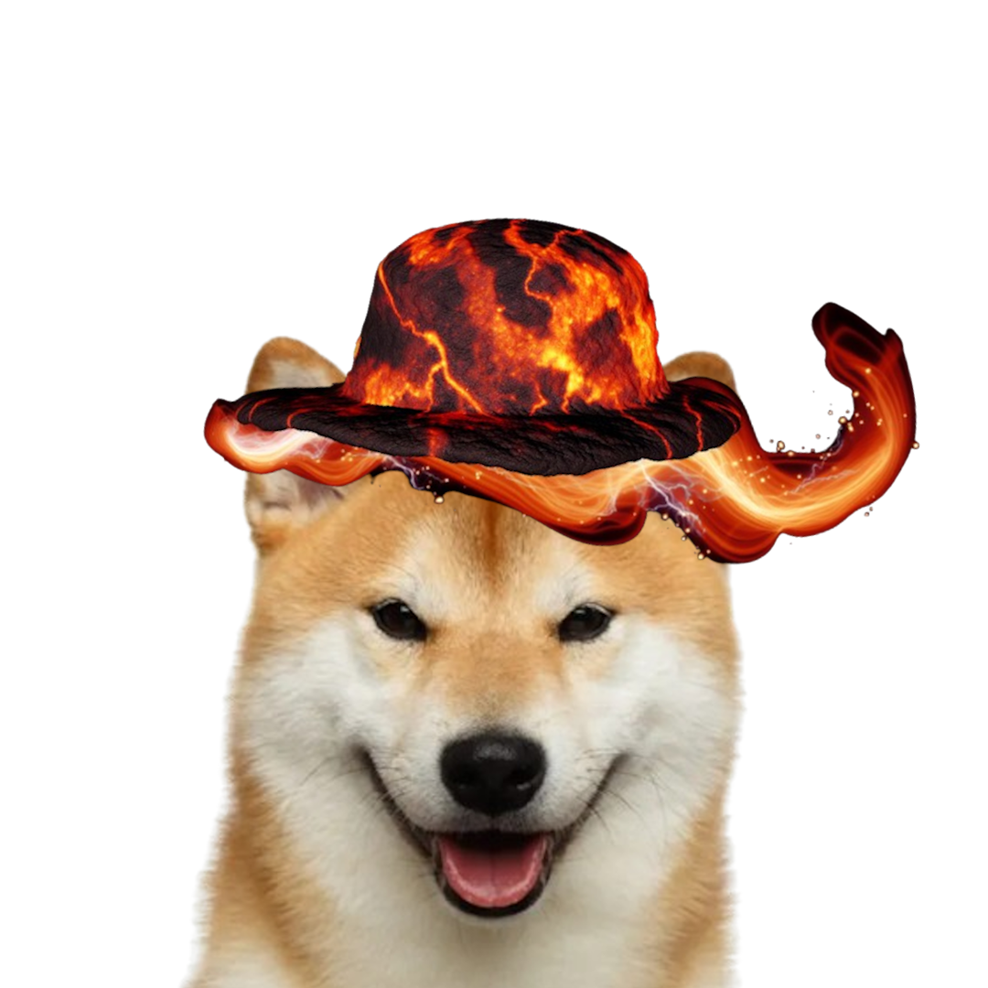 lava dog